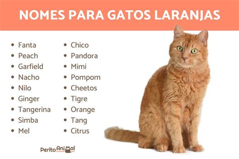 nomes de gato